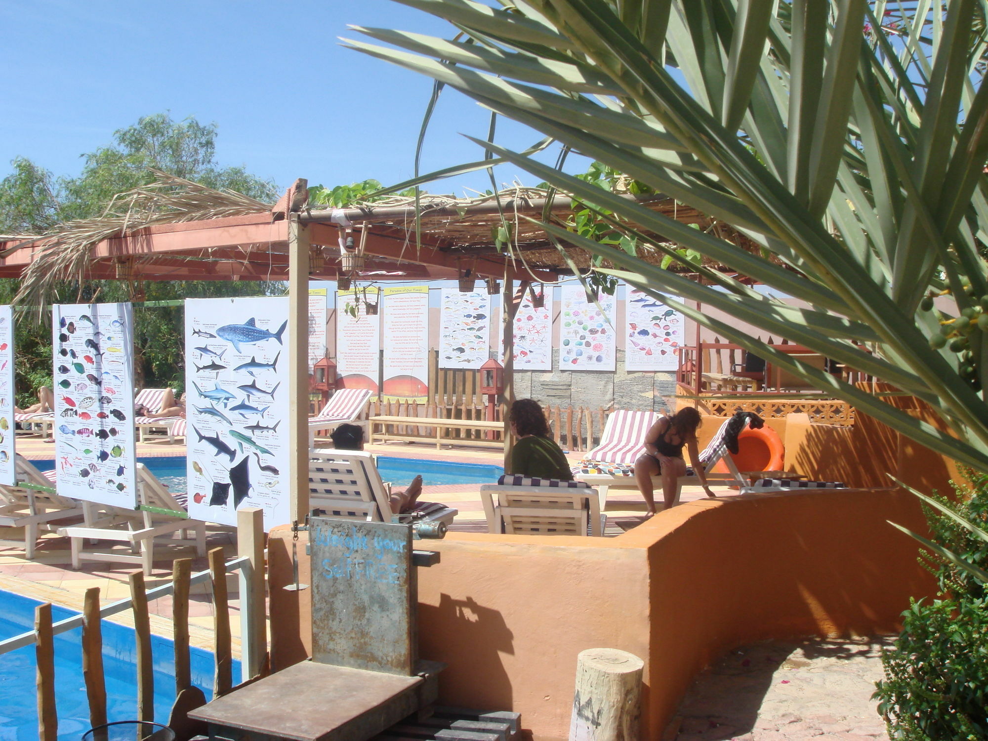 Bedouin Garden Village Akaba Exterior foto